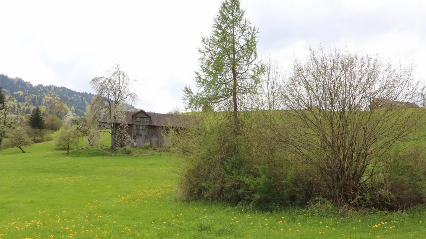 Property for sale - Blombergstrasse 2755, 9642 Ebnat-Kappel - Photo 4