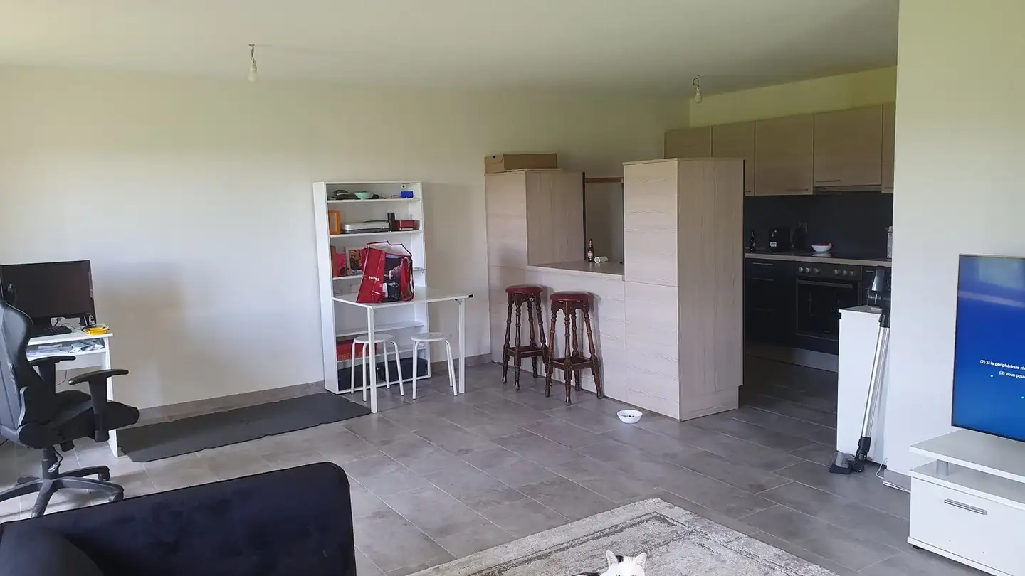 Apartment for rent - Rue Du Temple 87, 2405 La Chaux-du-Milieu - Photo 4