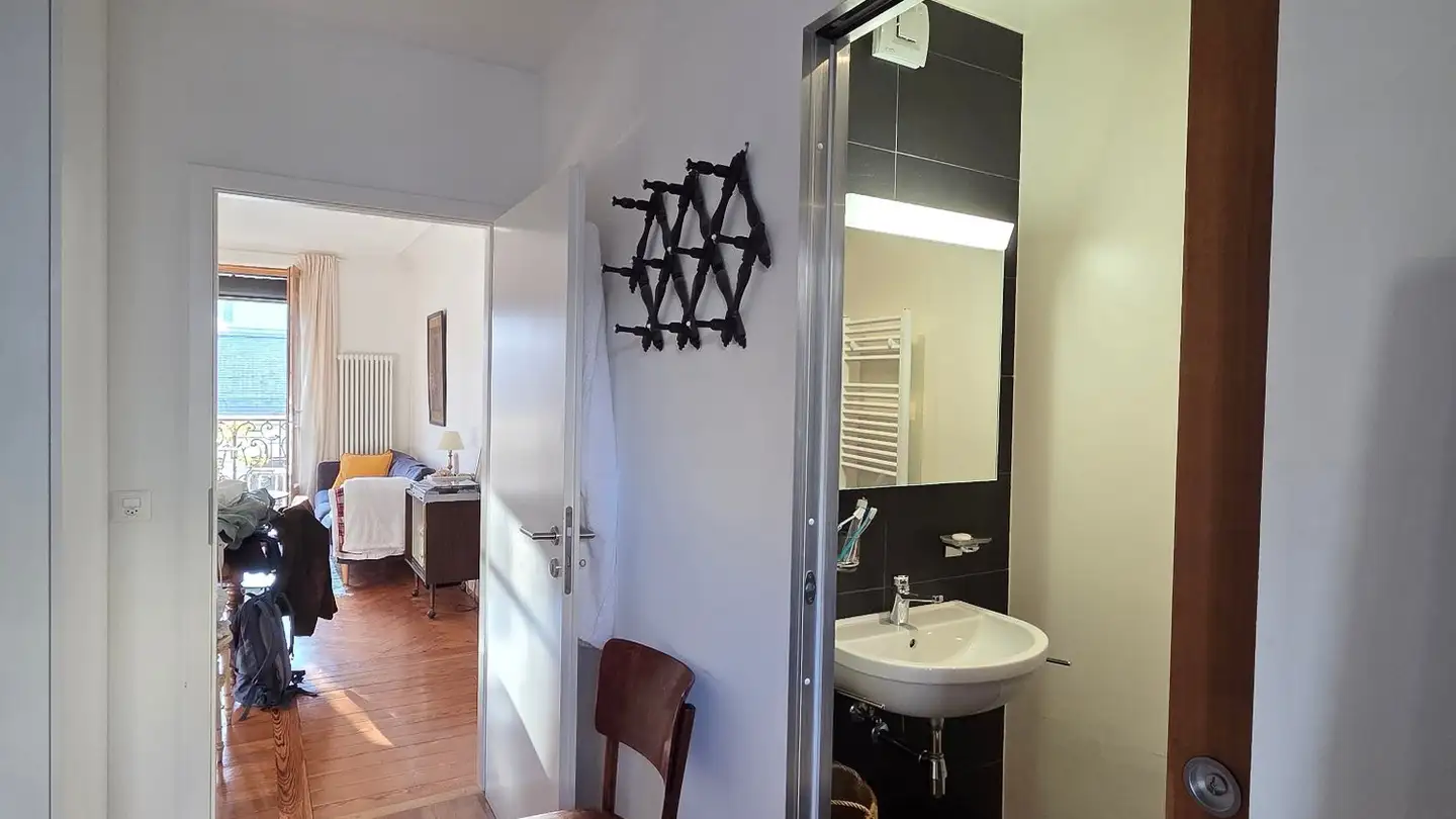 Apartment for rent - Rue Des Bains 22, 1205 Genève