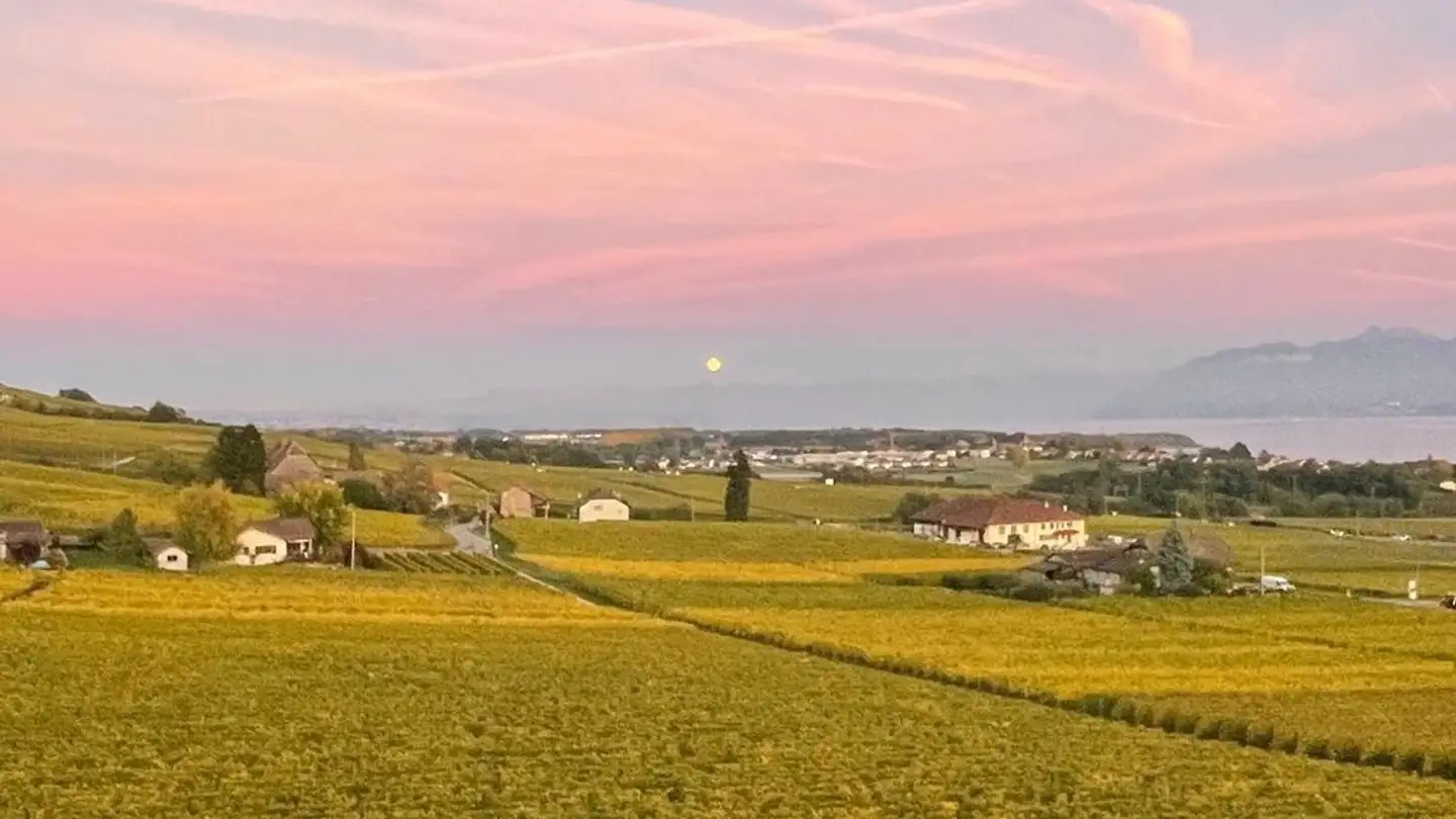 Appartamento in affitto - Route De La Versoix 13, 1185 Mont-sur-Rolle - Photo 2