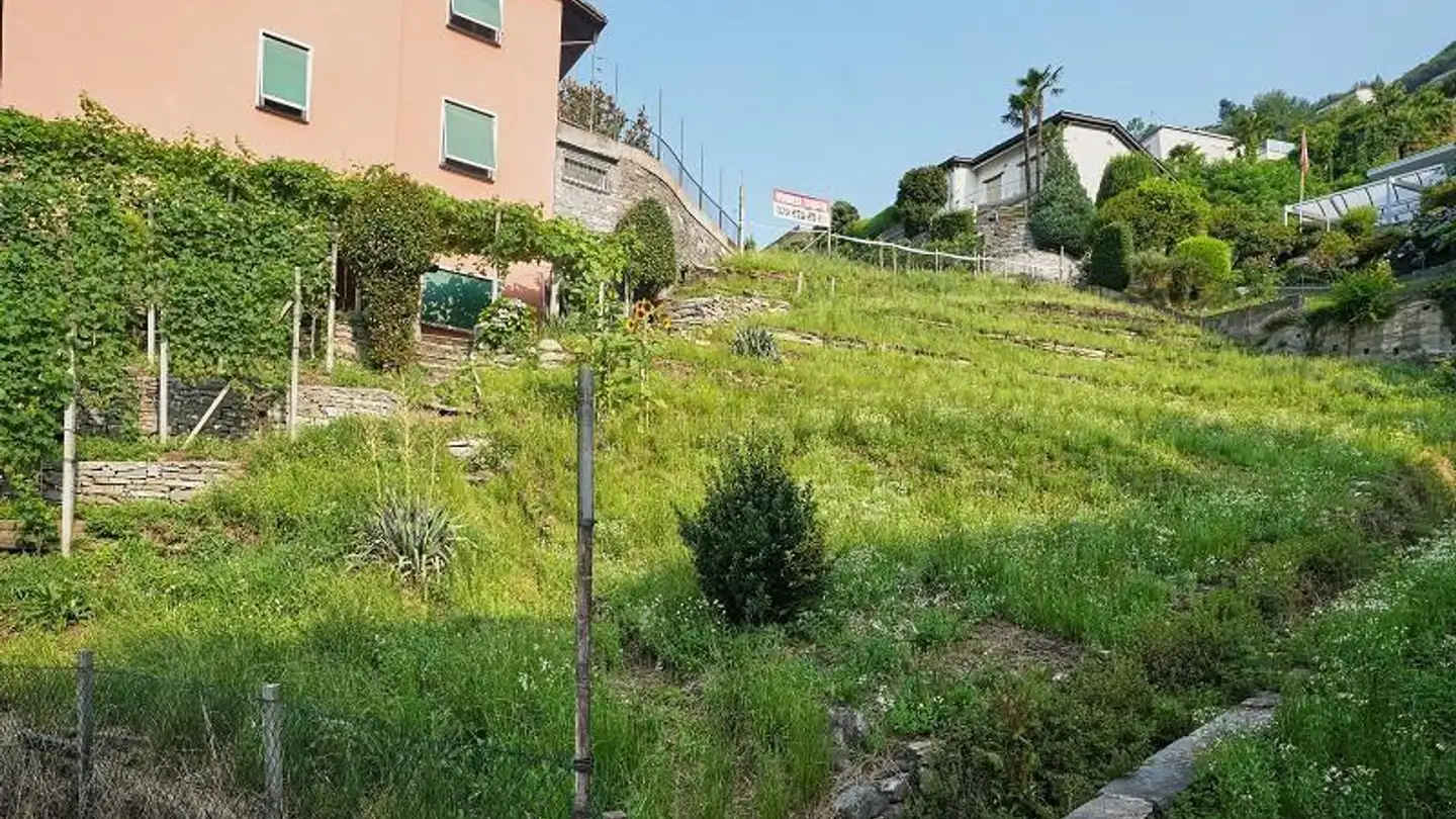 Terrain constructible à vendre - 6596 Gordola