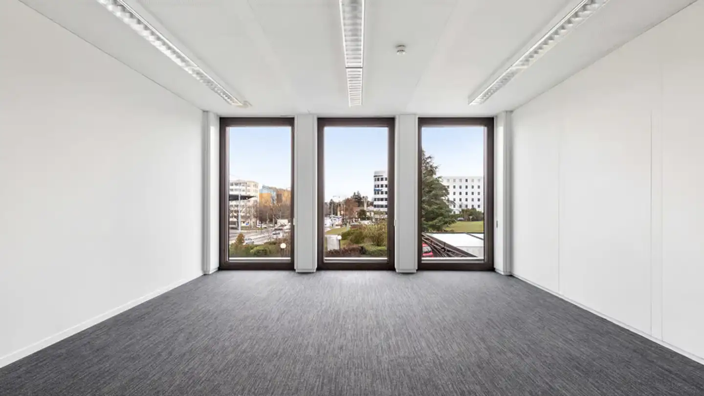 Gewerbe mieten - Avenue Louis- Casaï 18, 1209 Genève - Foto 2