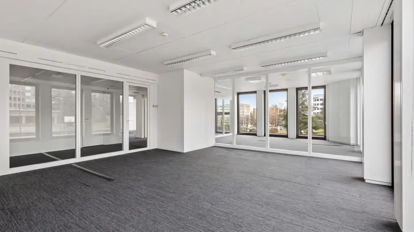 Gewerbe mieten - Avenue Louis- Casaï 18, 1209 Genève - Foto 3