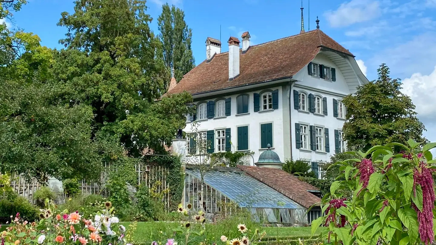 Attique à louer - Melchenbühlweg 137, 3006 Bern