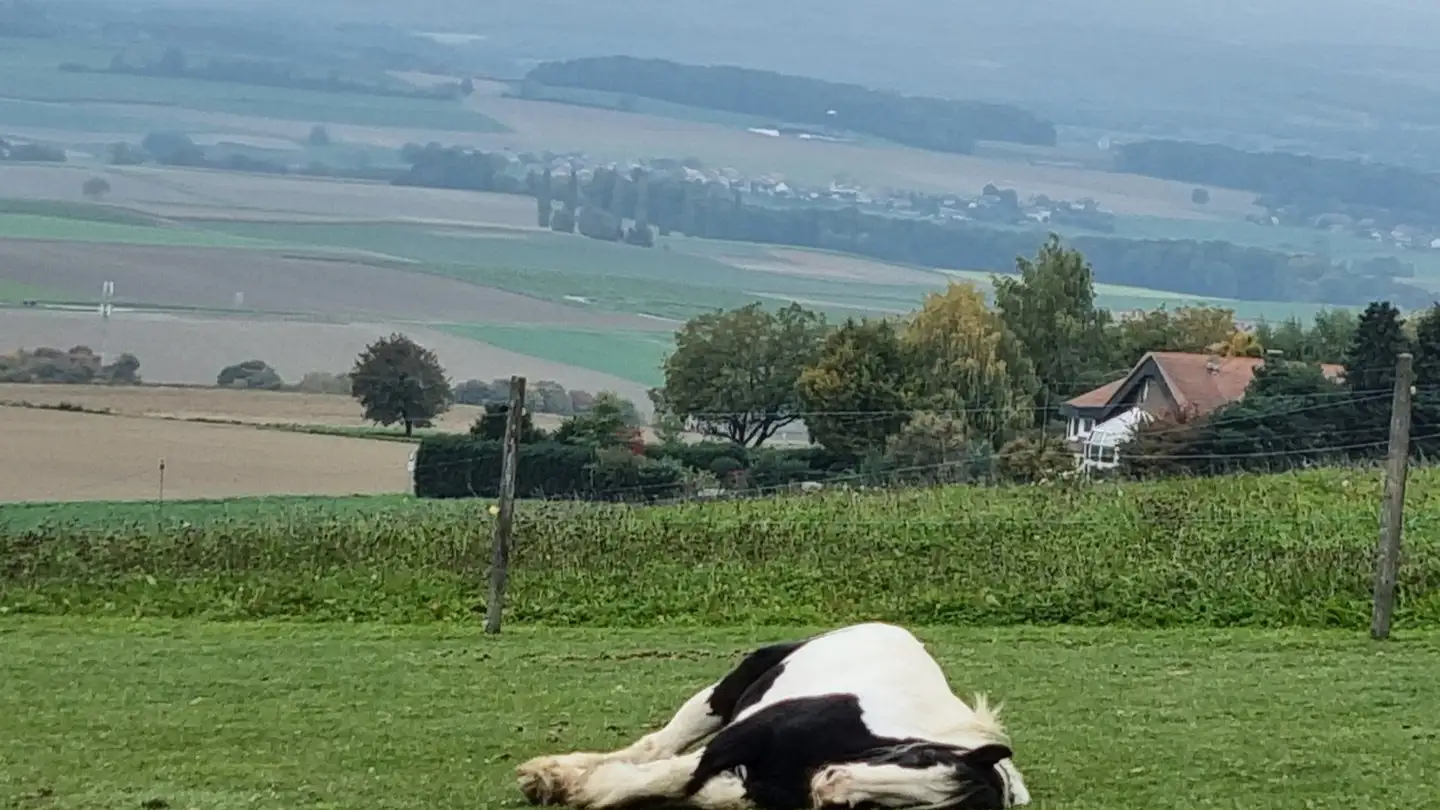 Casa singola in affitto - 1042 Bettens