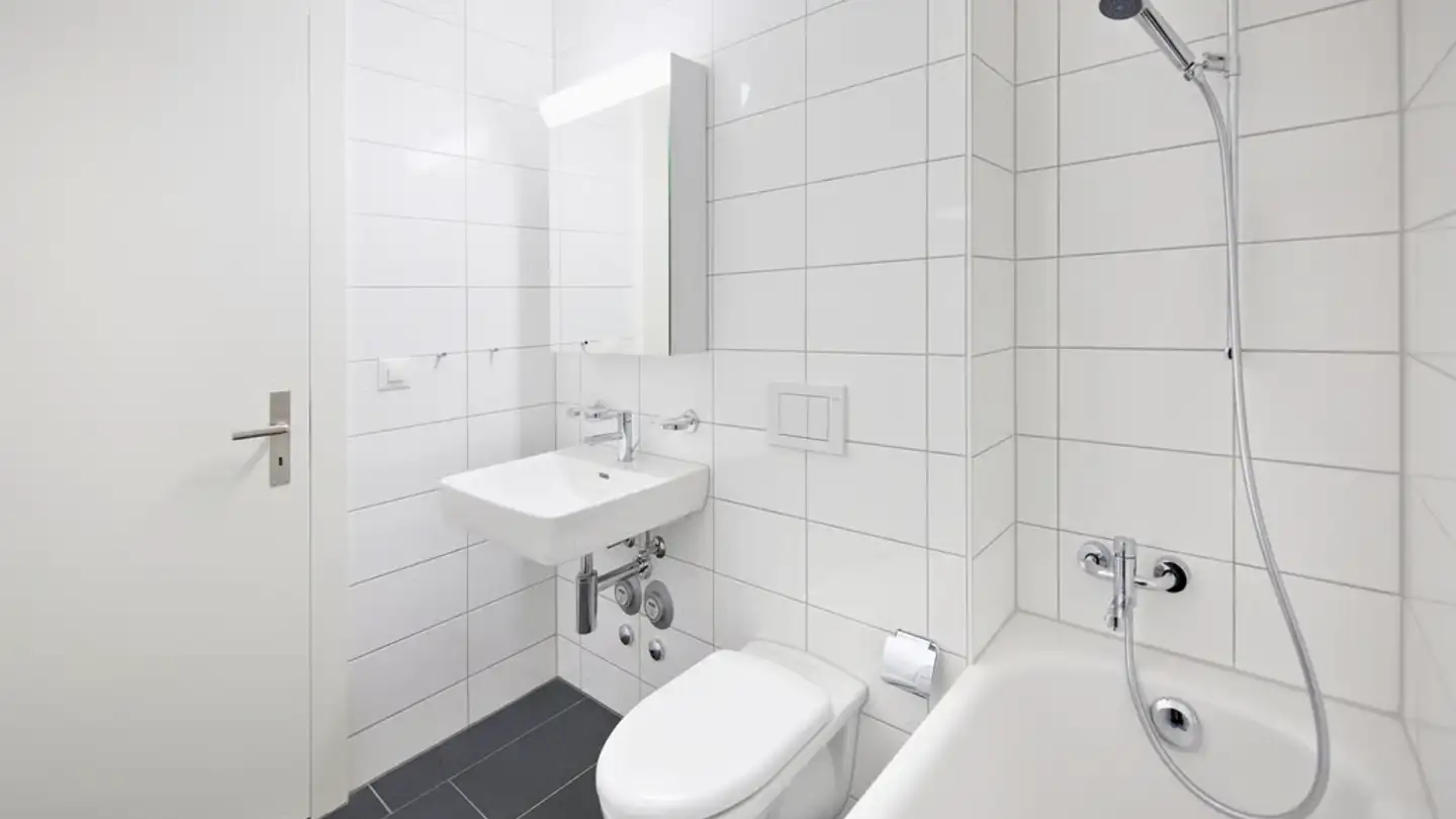 Wohnung mieten - Reichensteinerstrasse 12, 4153 Reinach BL - Foto 2