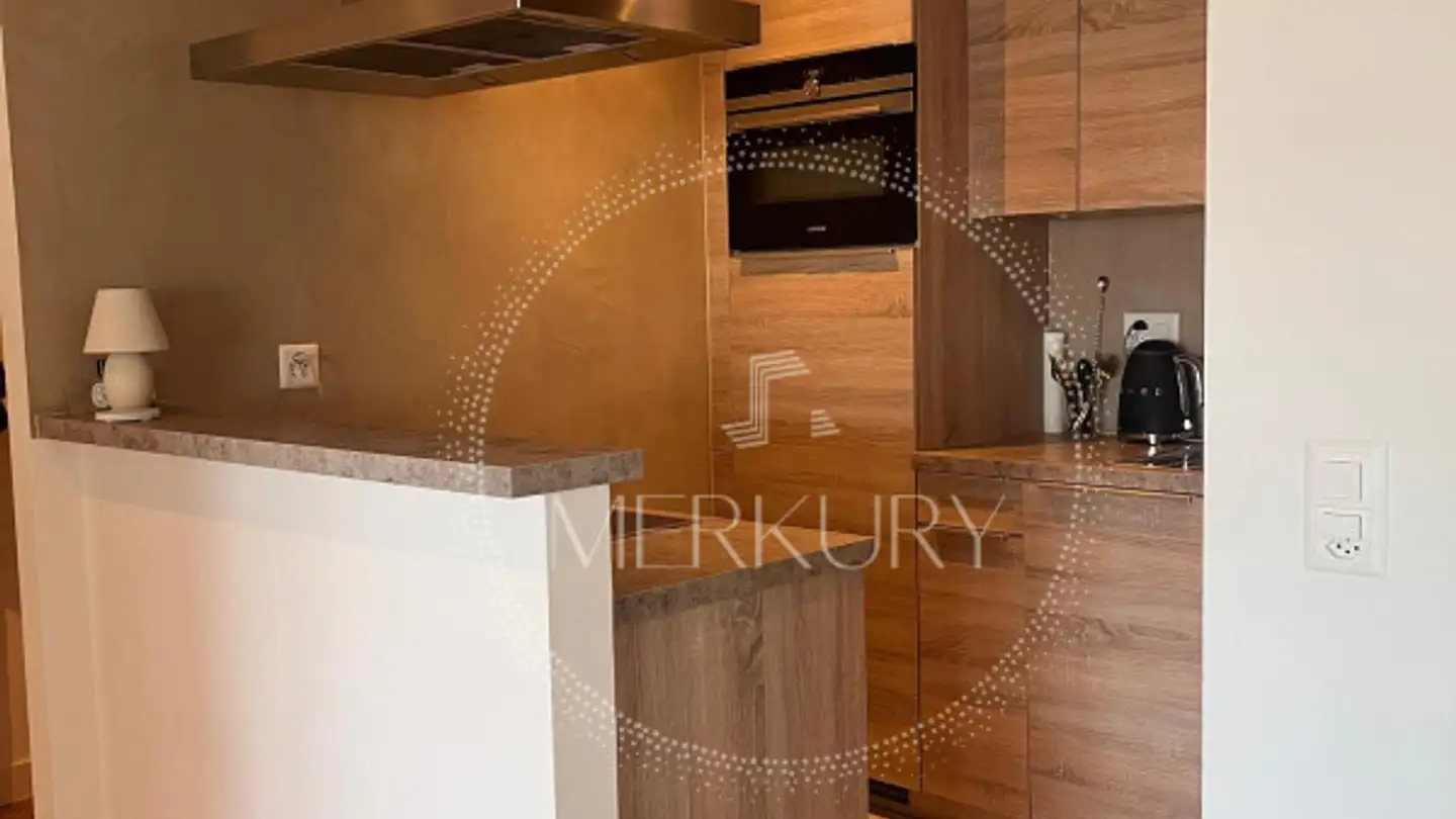 Wohnung mieten - Rue De Contamines, 1206 Genève - Foto 2
