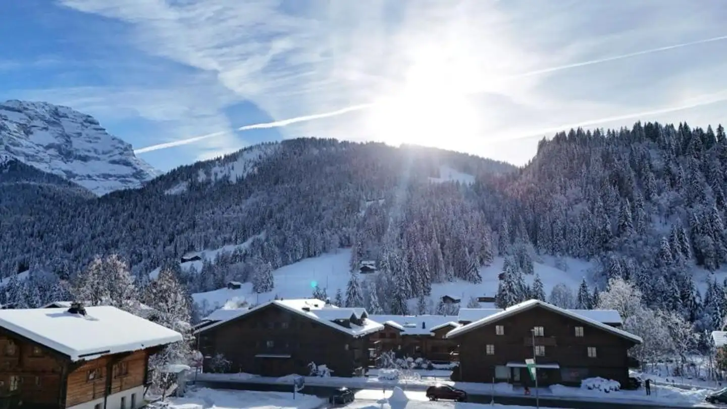Apartment for sale - Les Diablerets, 1865 Les Diablerets - Photo 2