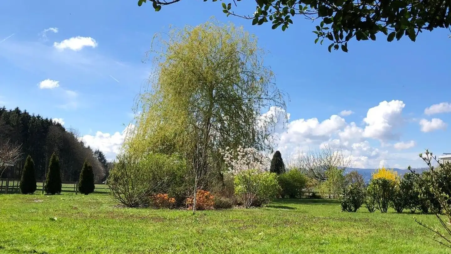 Wohnung mieten - Alter Kirchweg 5, 5502 Hunzenschwil - Foto 3