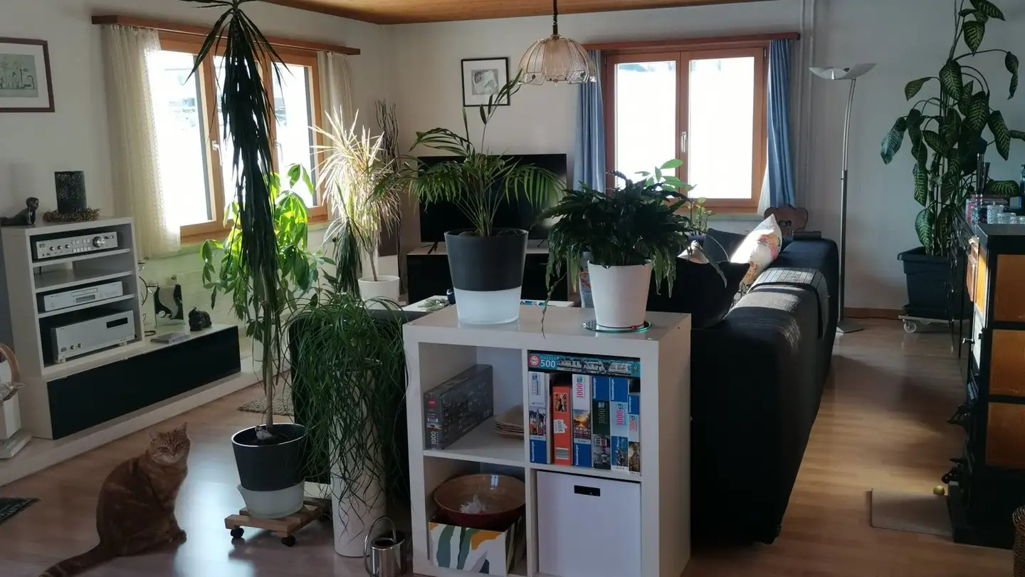 Stanza singola in affitto - Nidersaumweg 8, 8820 Wädenswil - Foto 4