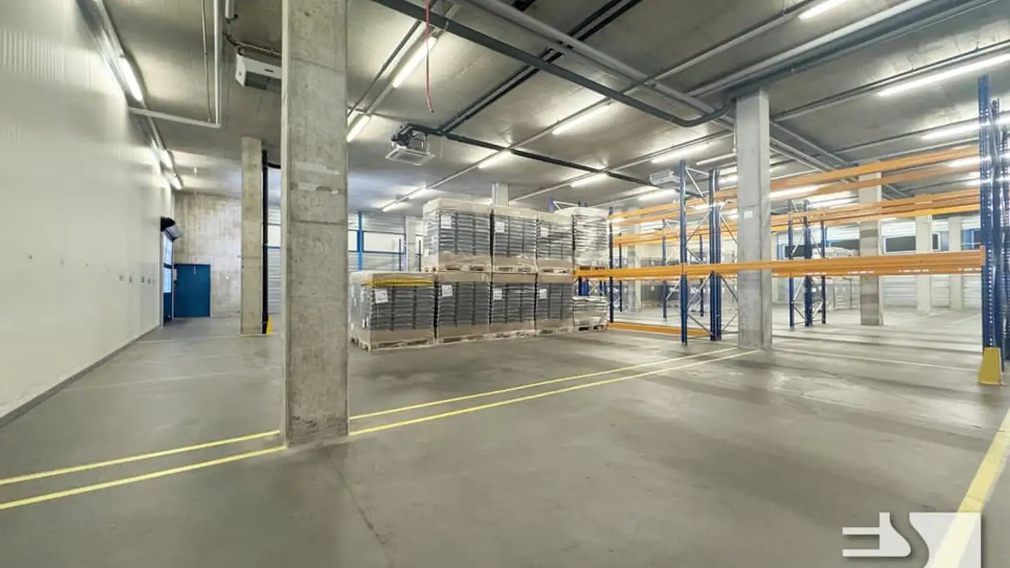 Commercial for rent - Route Du Petit-Moncor 7a, 1752 Villars-sur-Glâne - Photo 2