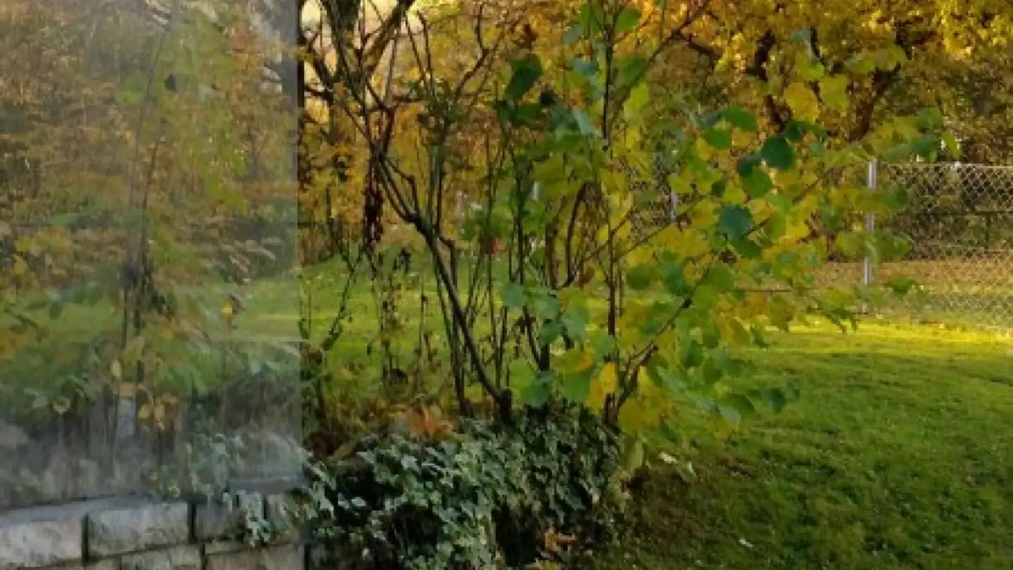 Wohnung mieten - Stellimattweg, 4125 Riehen