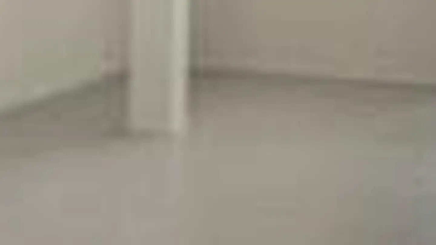 Atelier à louer - Chemin Des Rambossons 23, 1212 Grand-Lancy