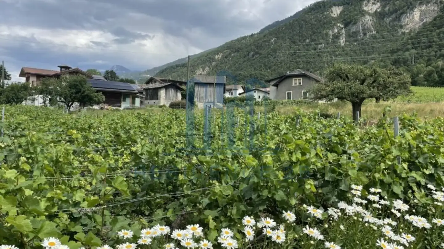 Einfamilienhaus kaufen - 3979 Grône - Foto 4