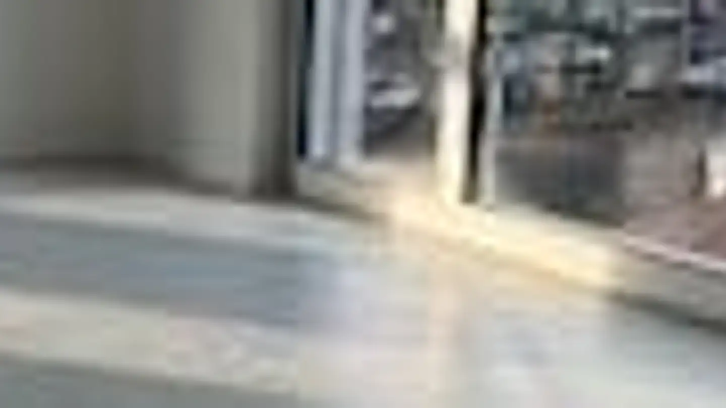 Atelier à louer - Chemin Des Rambossons 23, 1212 Grand-Lancy - Photo 4