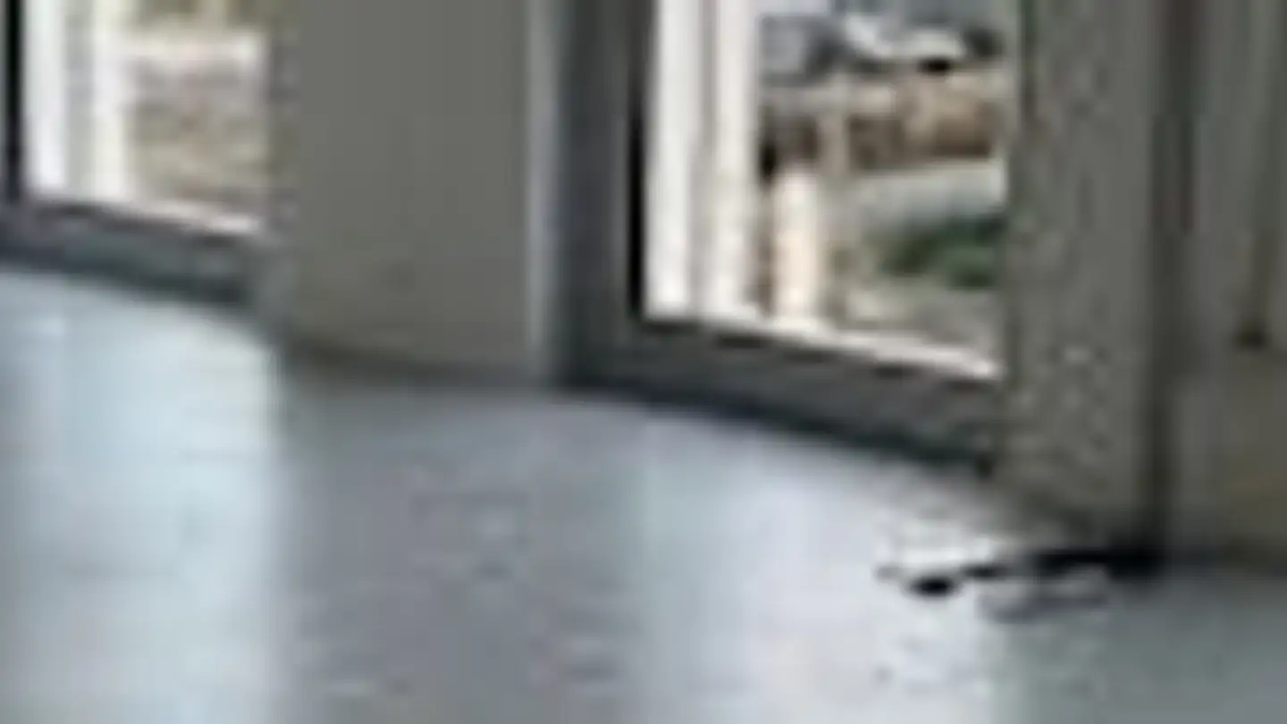 Atelier à louer - Chemin Des Rambossons 23, 1212 Grand-Lancy - Photo 3