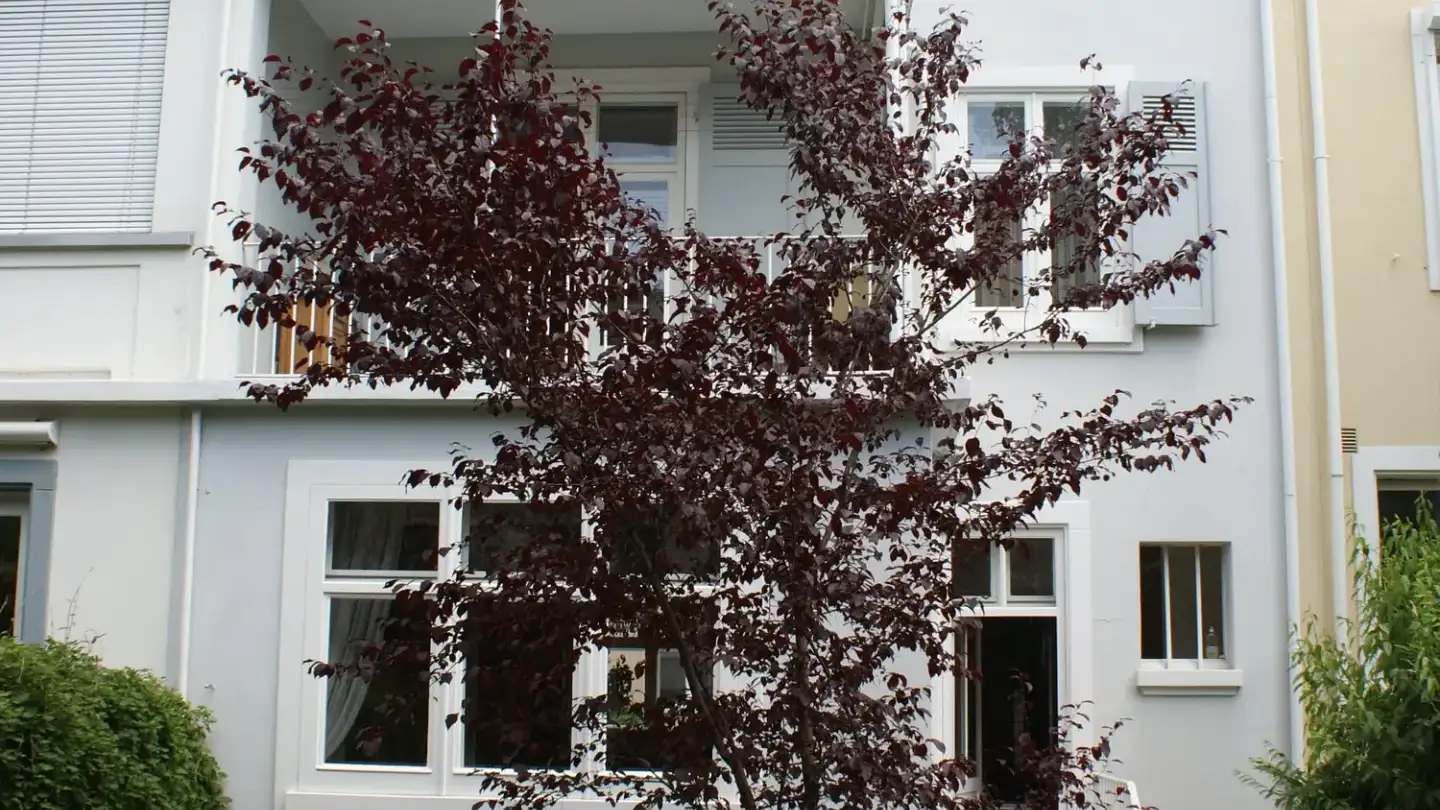 Row house for rent - Glaserbergstrasse 70, 4056 Basel - Photo 2