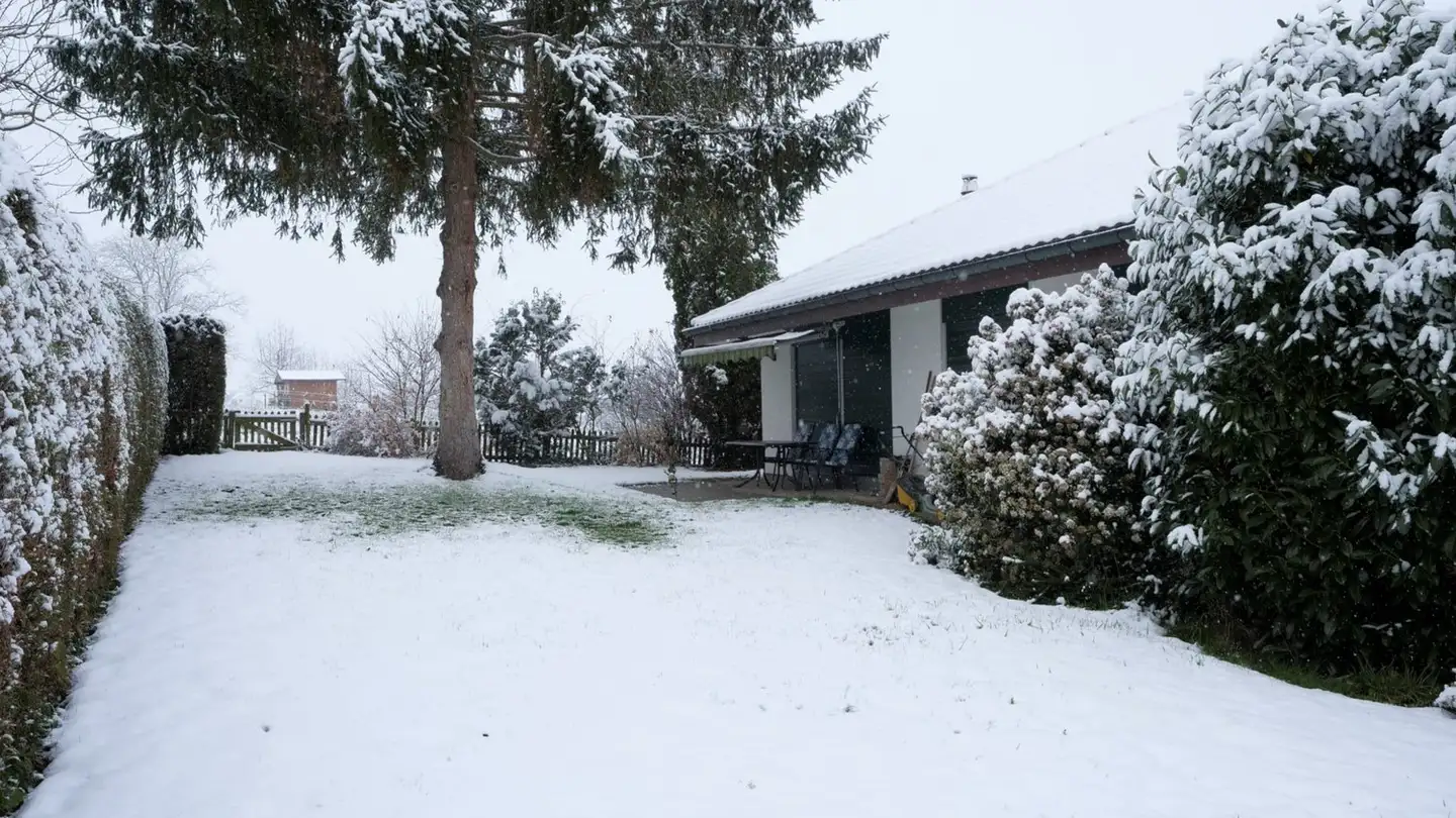 Casa singola in affitto - Im Kleeacker, 4108 Witterswil