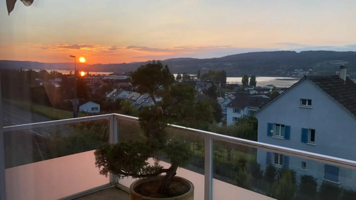 Maison individuelle à vendre - Frauenfelderstrasse 29, 8266 Steckborn