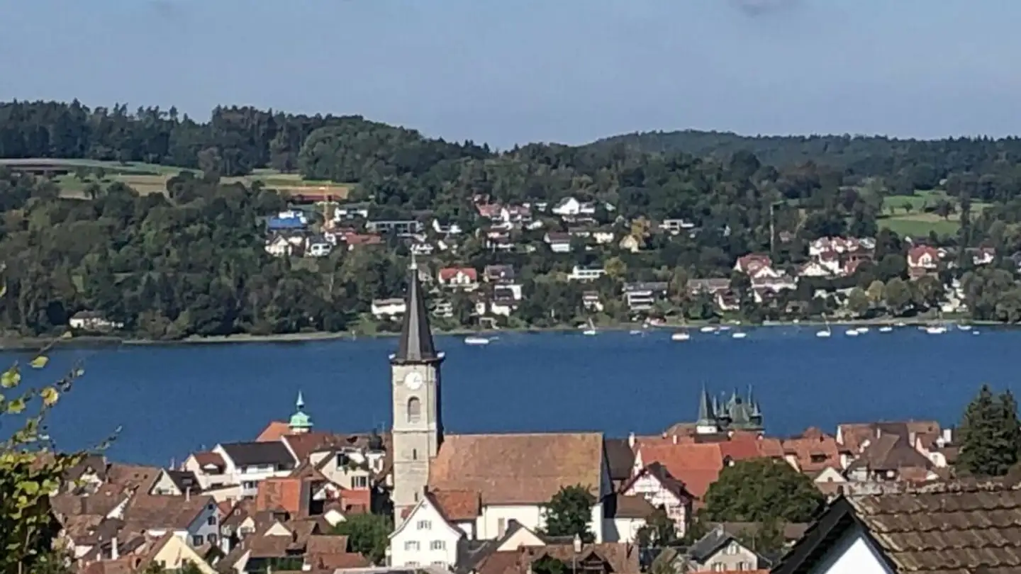 Maison individuelle à vendre - Frauenfelderstrasse 29, 8266 Steckborn - Photo 4