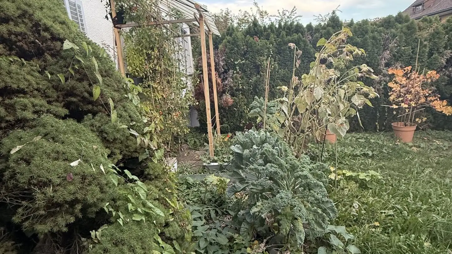 Maison individuelle à louer - Hochrainstrasse 13, 6010 Kriens - Photo 3