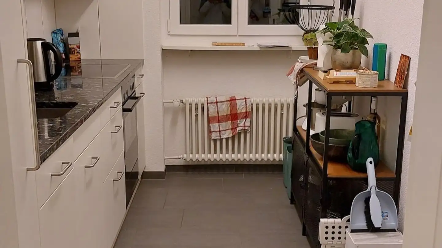 Apartment for rent - Rotbuchstrasse 38, 8600 Dübendorf - Photo 4