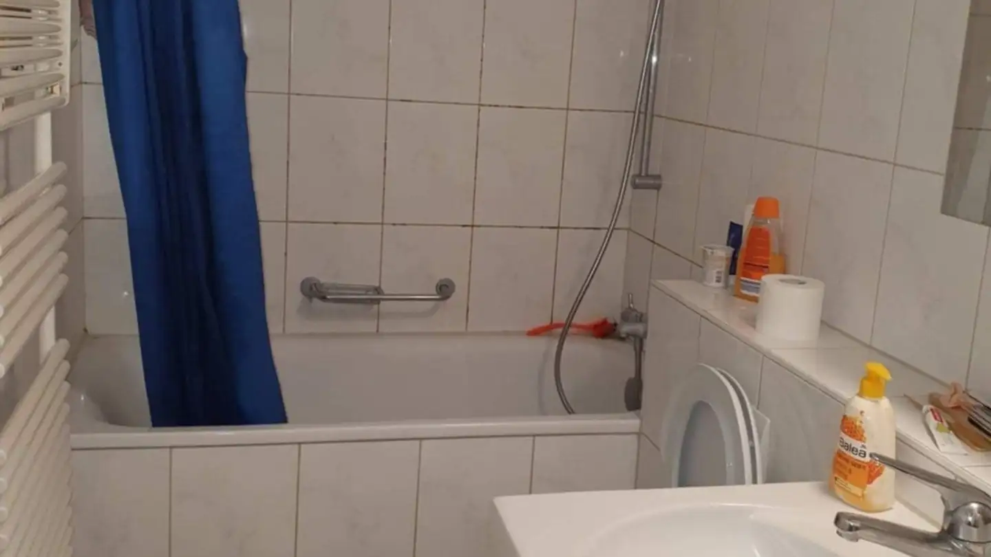 Appartamento in affitto - Fellenbergstrasse 276, 8047 Zürich