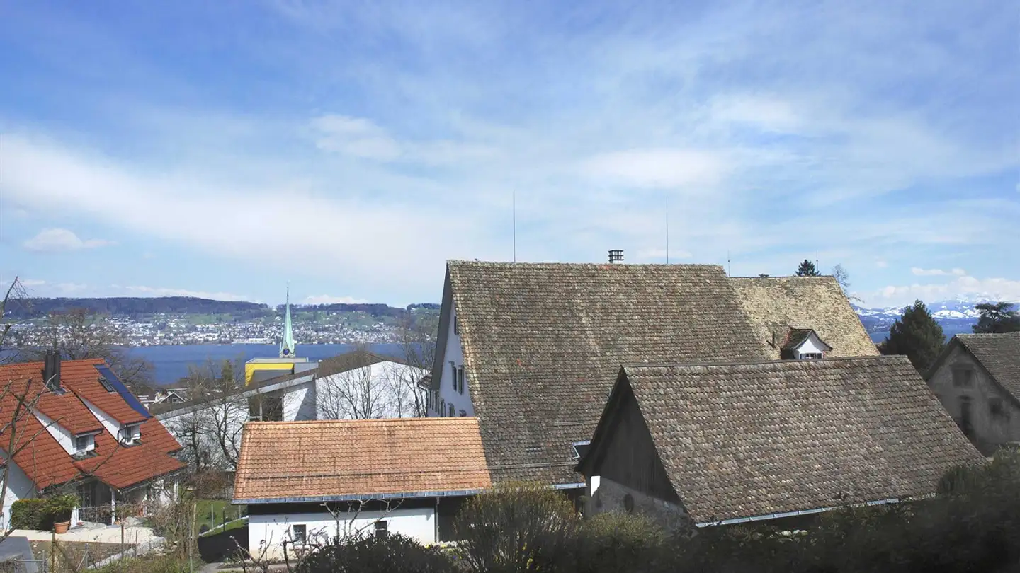 Apartment for rent - Untere Leihofstrasse 19, 8820 Wädenswil - Photo 3