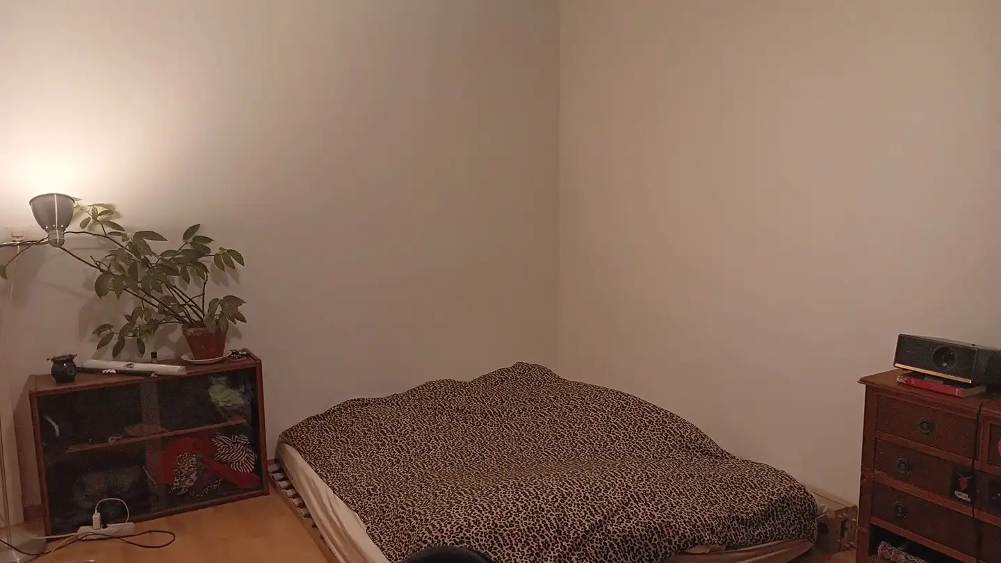 Stanza singola in affitto - Limmatstrasse, 8005 Zürich - Foto 4