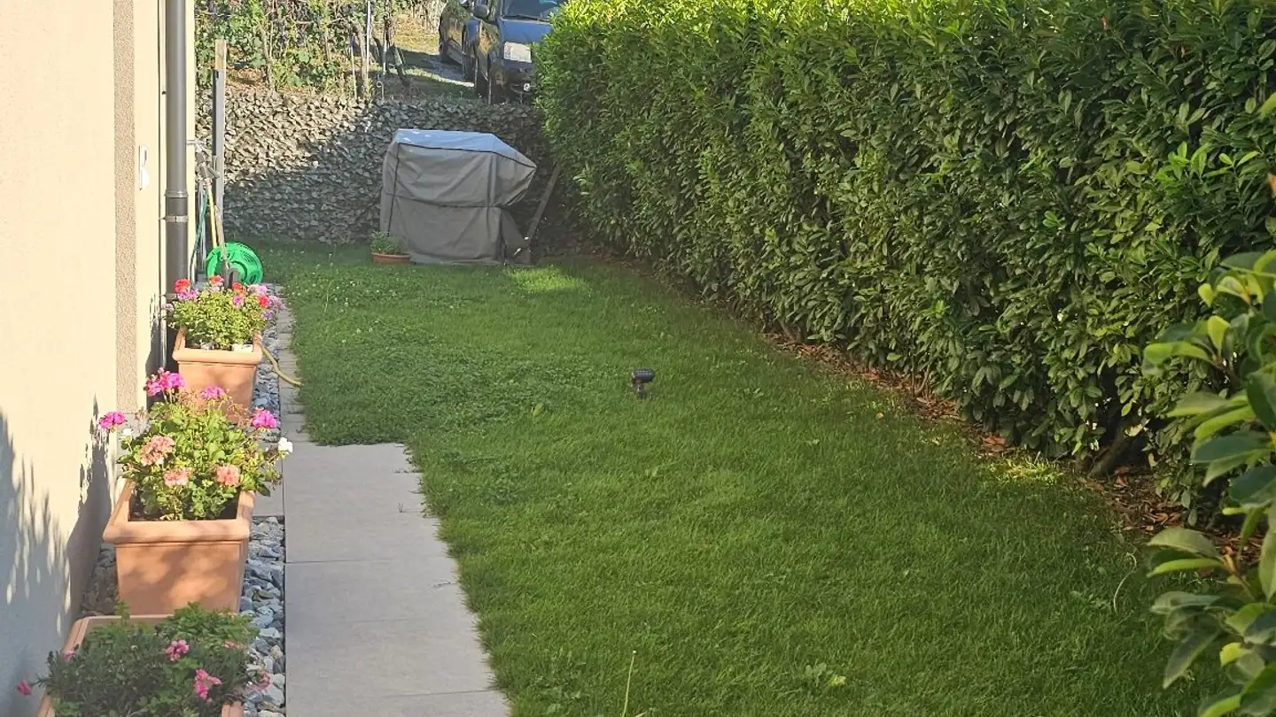 Apartment for rent - 1907 Saxon