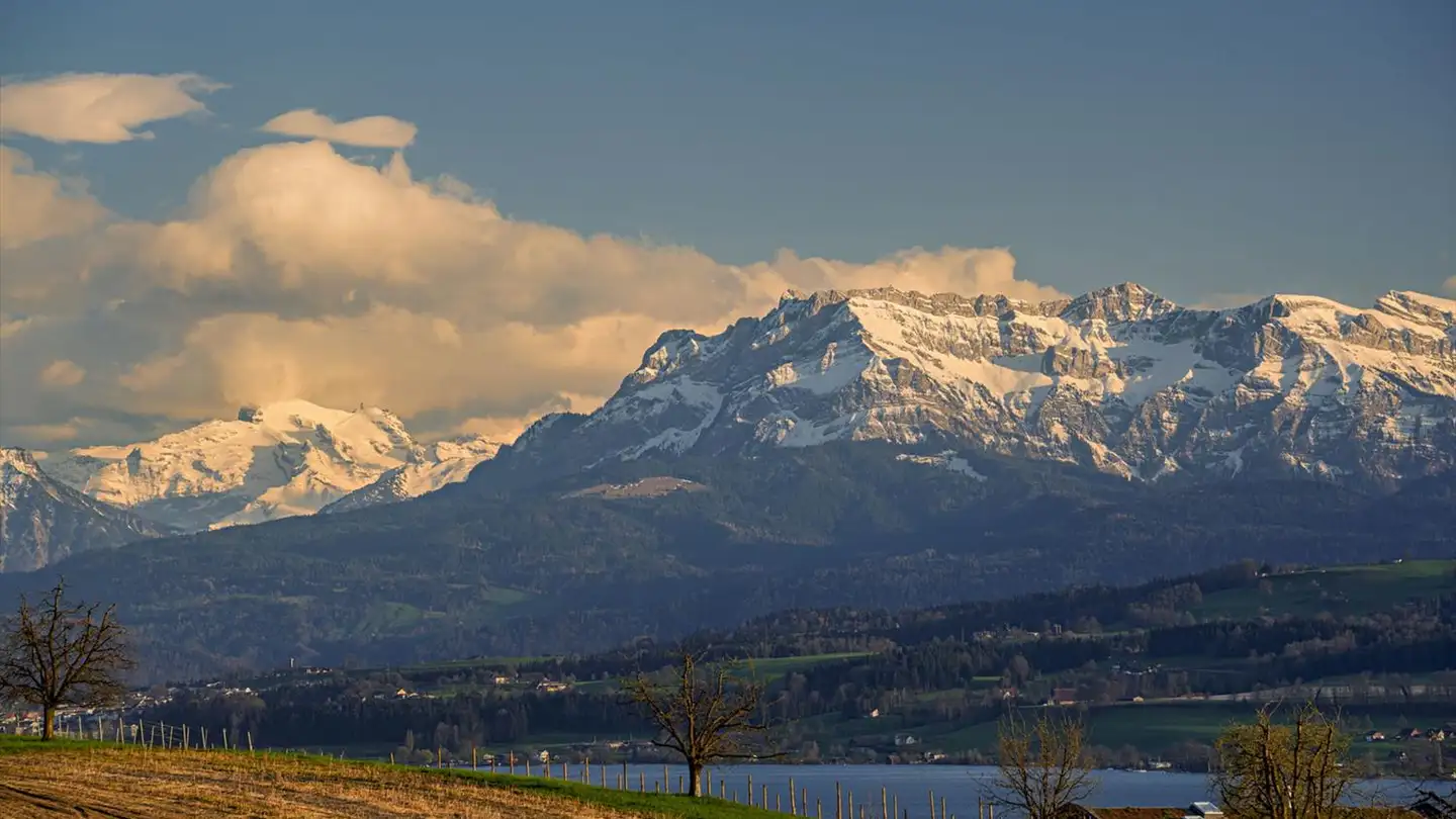 Apartment for sale - 6214 Schenkon - Photo 4