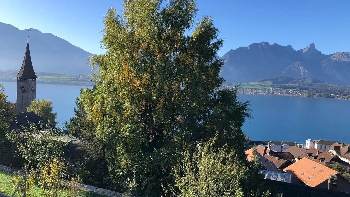 Wohnung mieten - Höhenstrasse 9, 3652 Hilterfingen