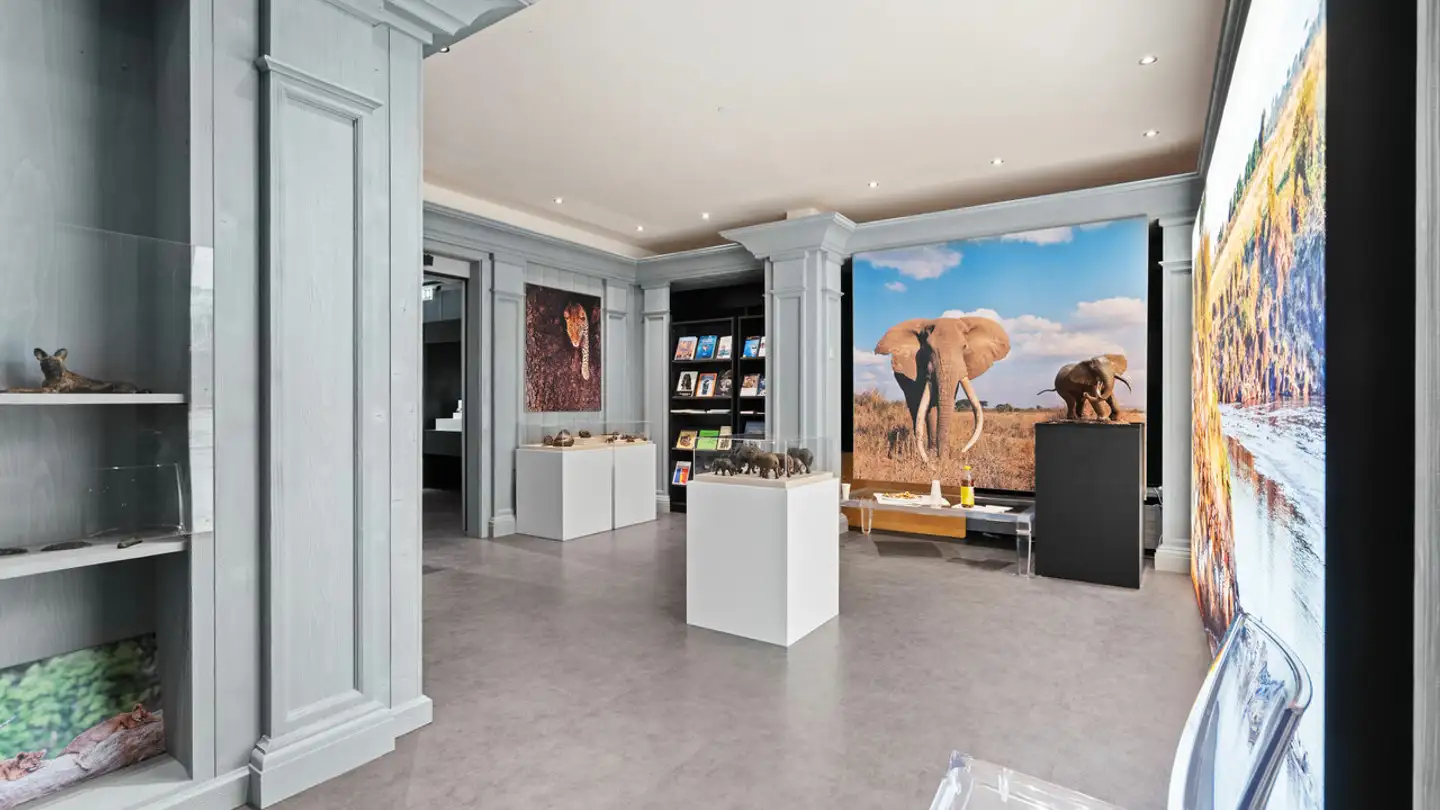 Office space for sale - Avenue De La Gare, 3963 Crans-Montana