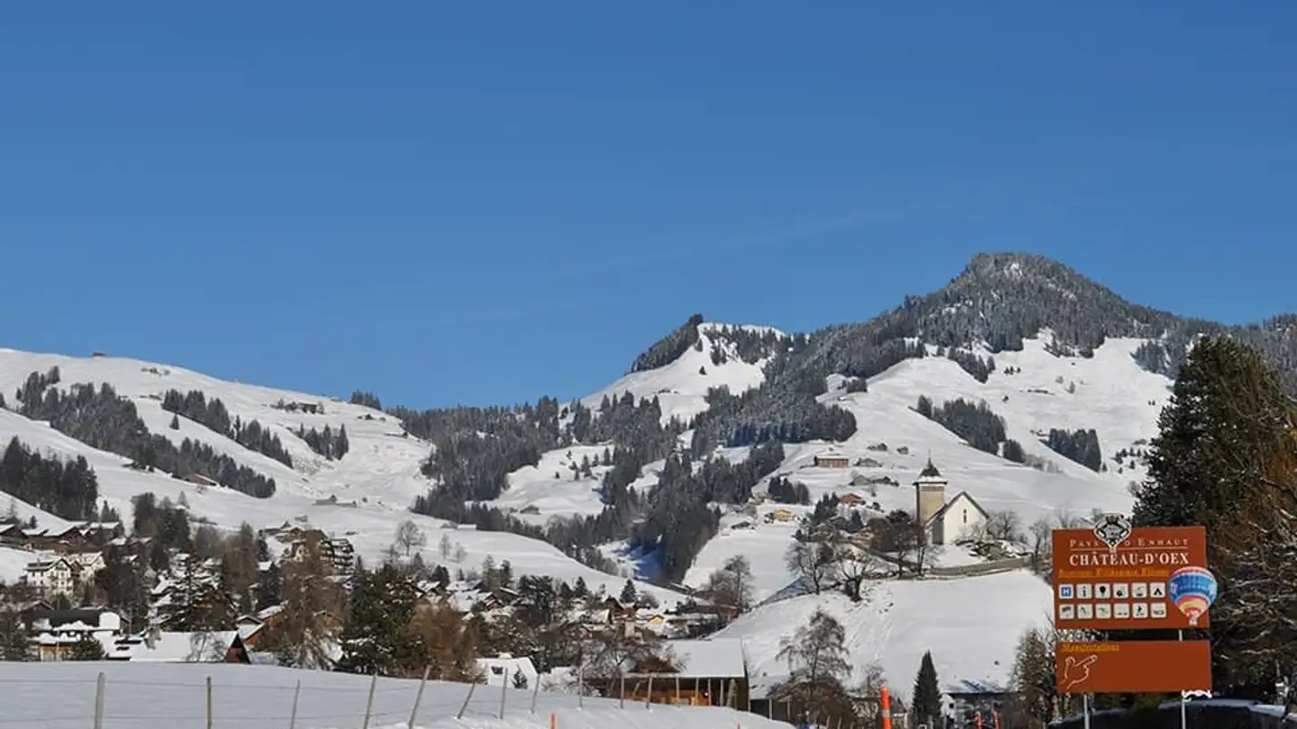 Maison individuelle à vendre - 1660 Château-d'Oex