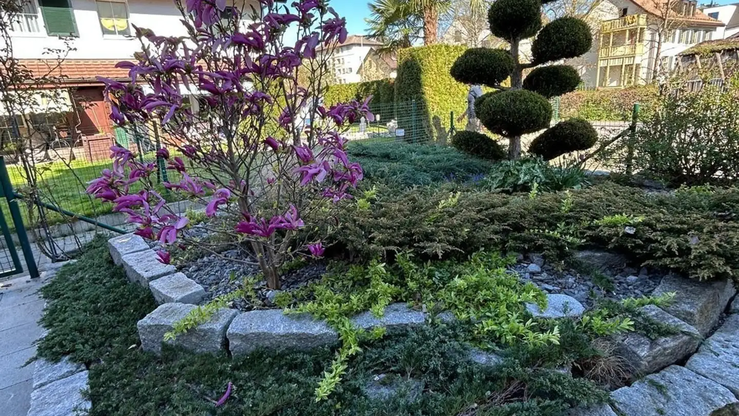 Zimmer mieten - Vorstadtstrasse, 8953 Dietikon - Foto 3