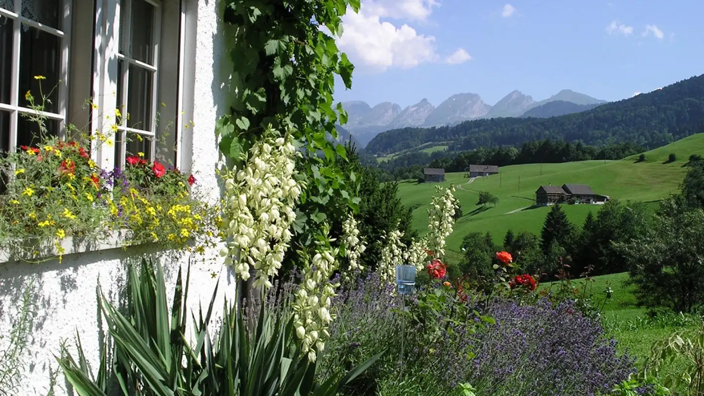 Casa singola in vendita - Holzegg-Bühl, 9650 Nesslau - Photo 2