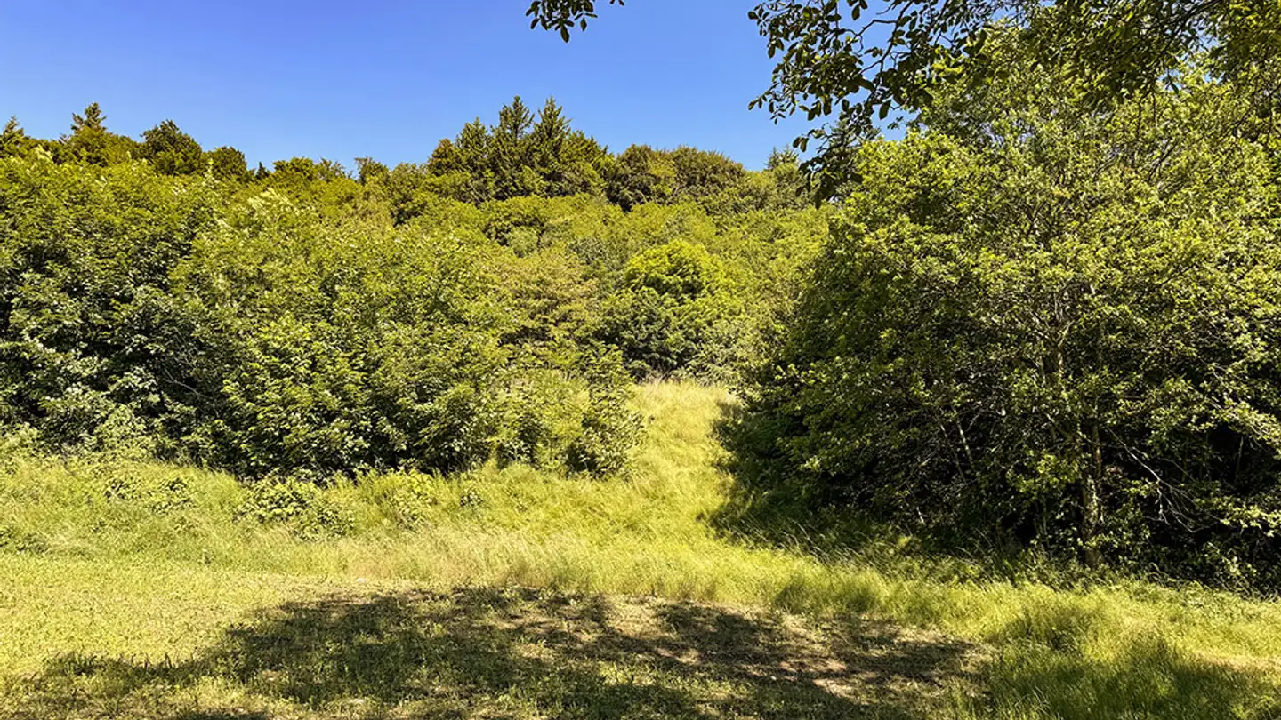 Maison jumelle à vendre - 1172 Bougy-Villars