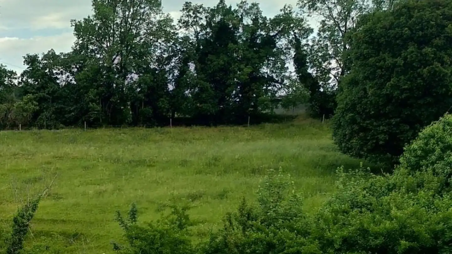 Wohnung mieten - 1322 Croy - Foto 2