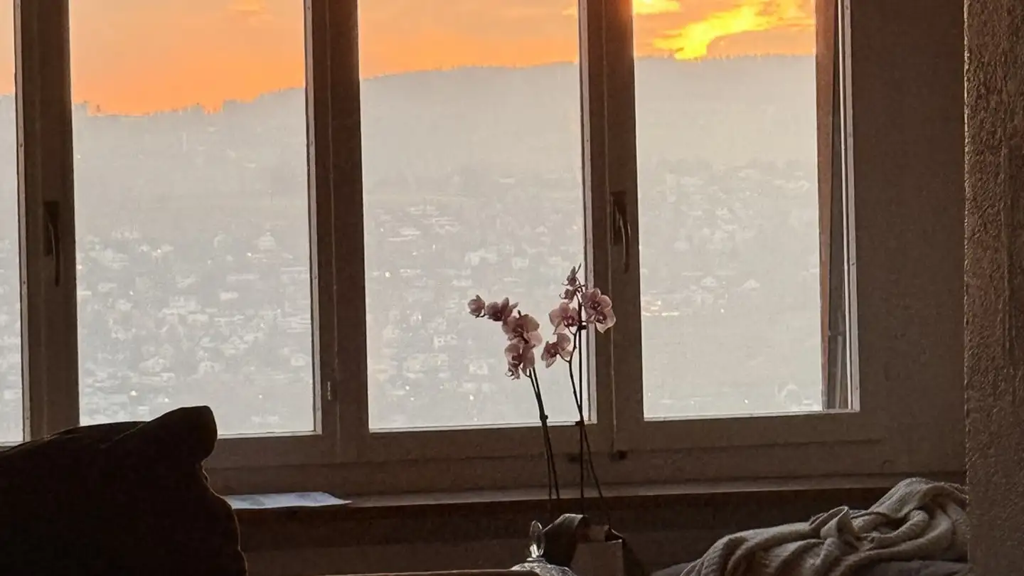 Apartment for rent - 8800 Thalwil