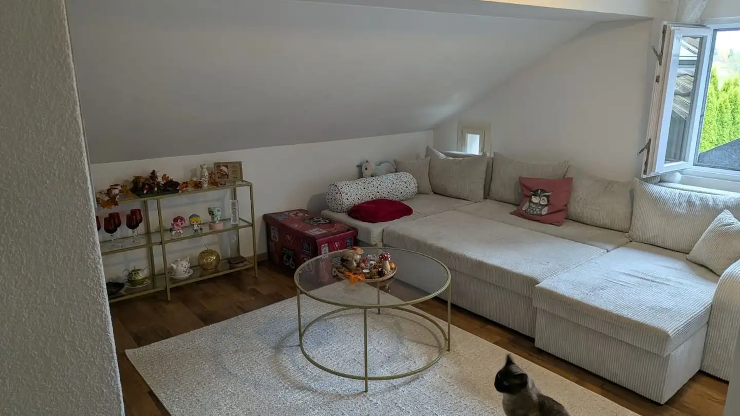 Attico in affitto - Dorfstrasse 20, 8585 Mattwil