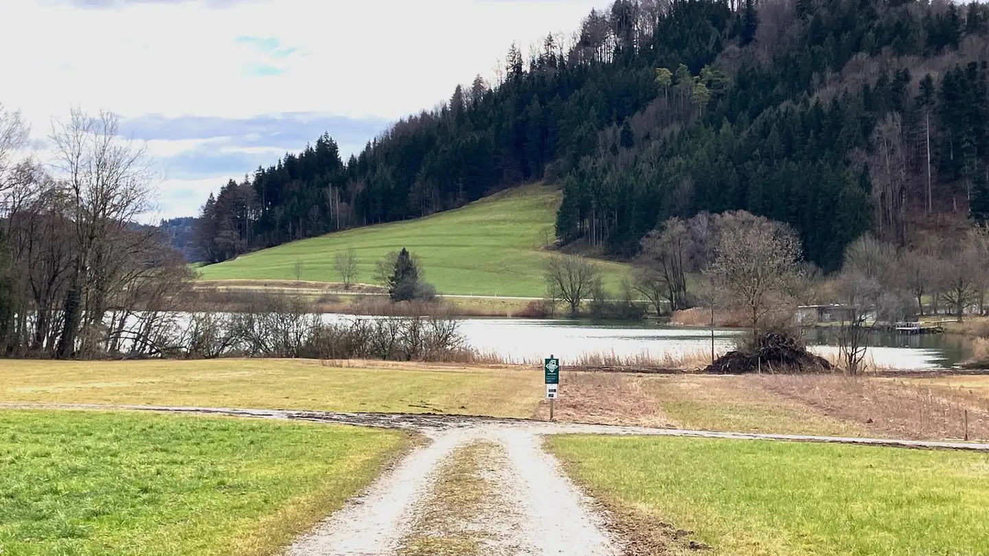 Ferme à vendre - Seelmatten 821, 8488 Turbenthal