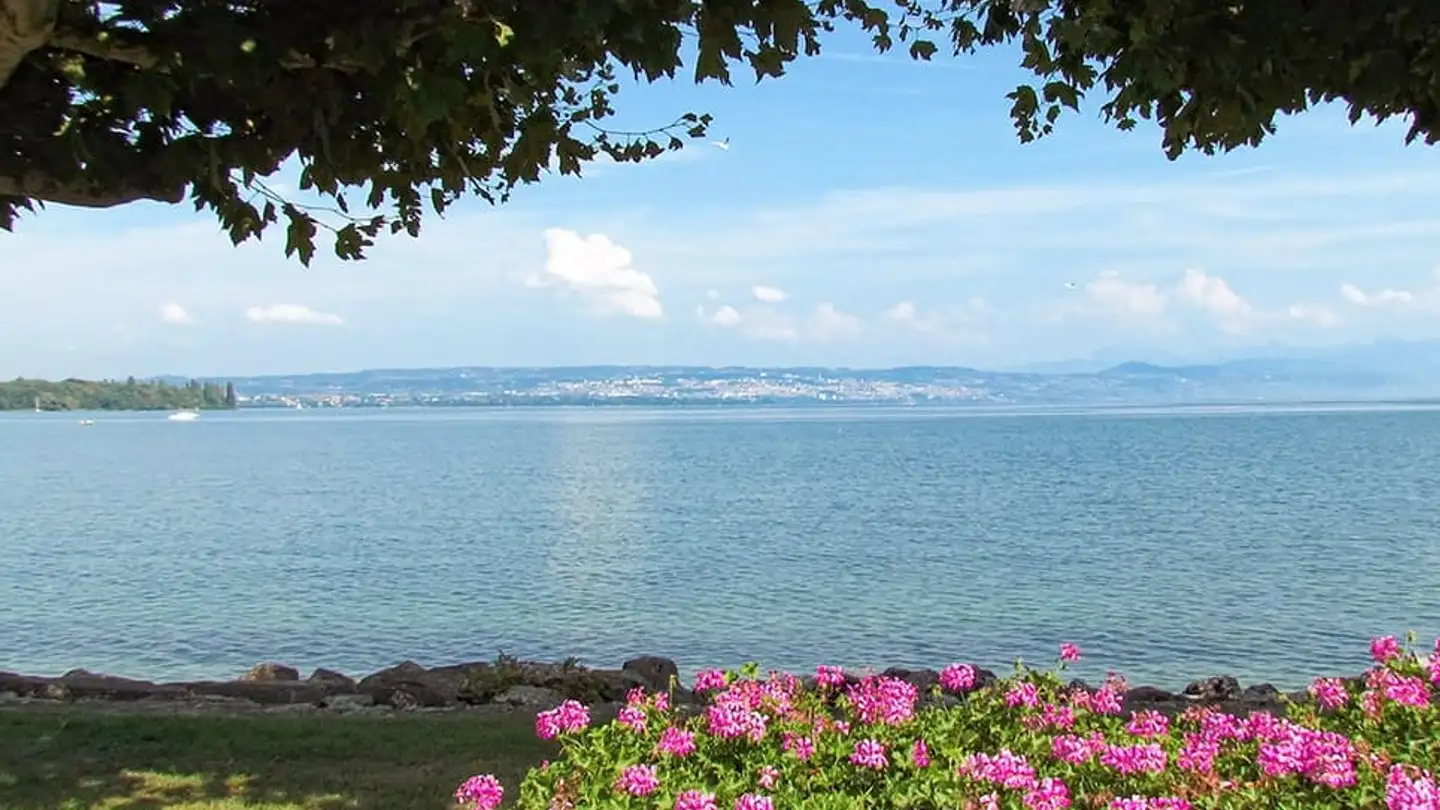 Appartamento in vendita - 1110 Morges