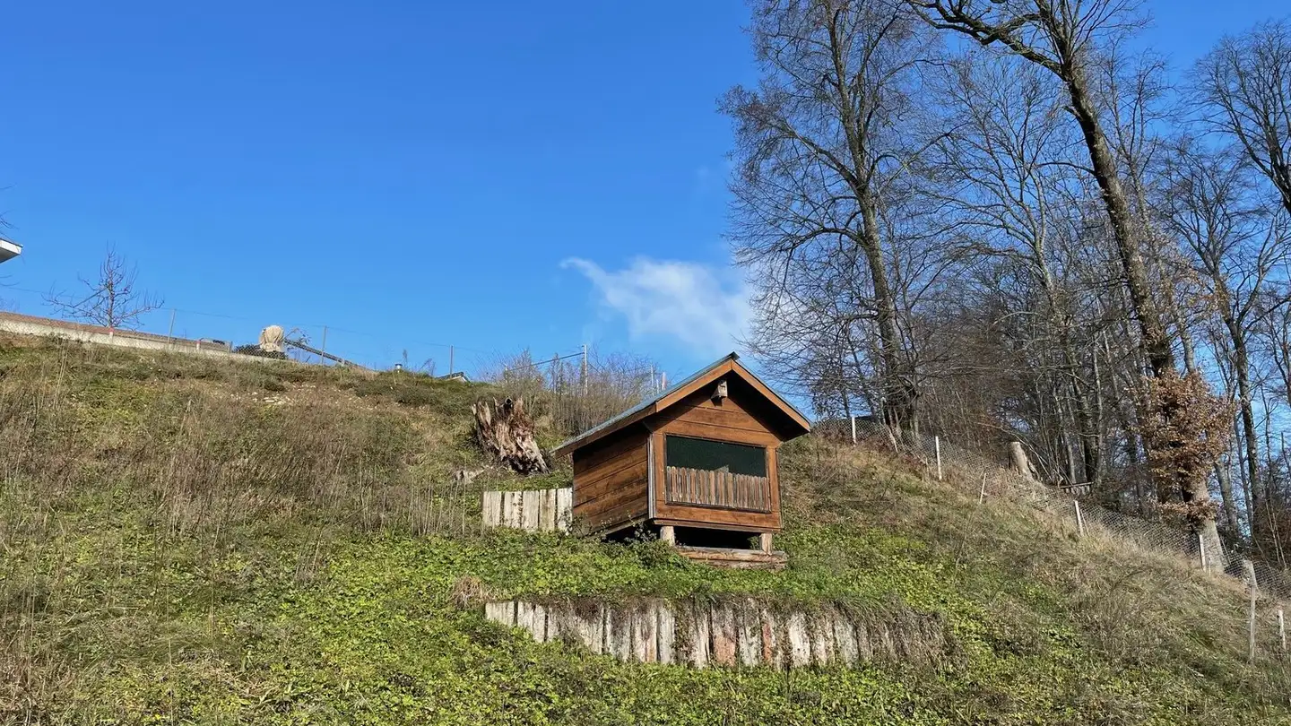 Constructible plot for sale - Höllstrasse, 4629 Fulenbach