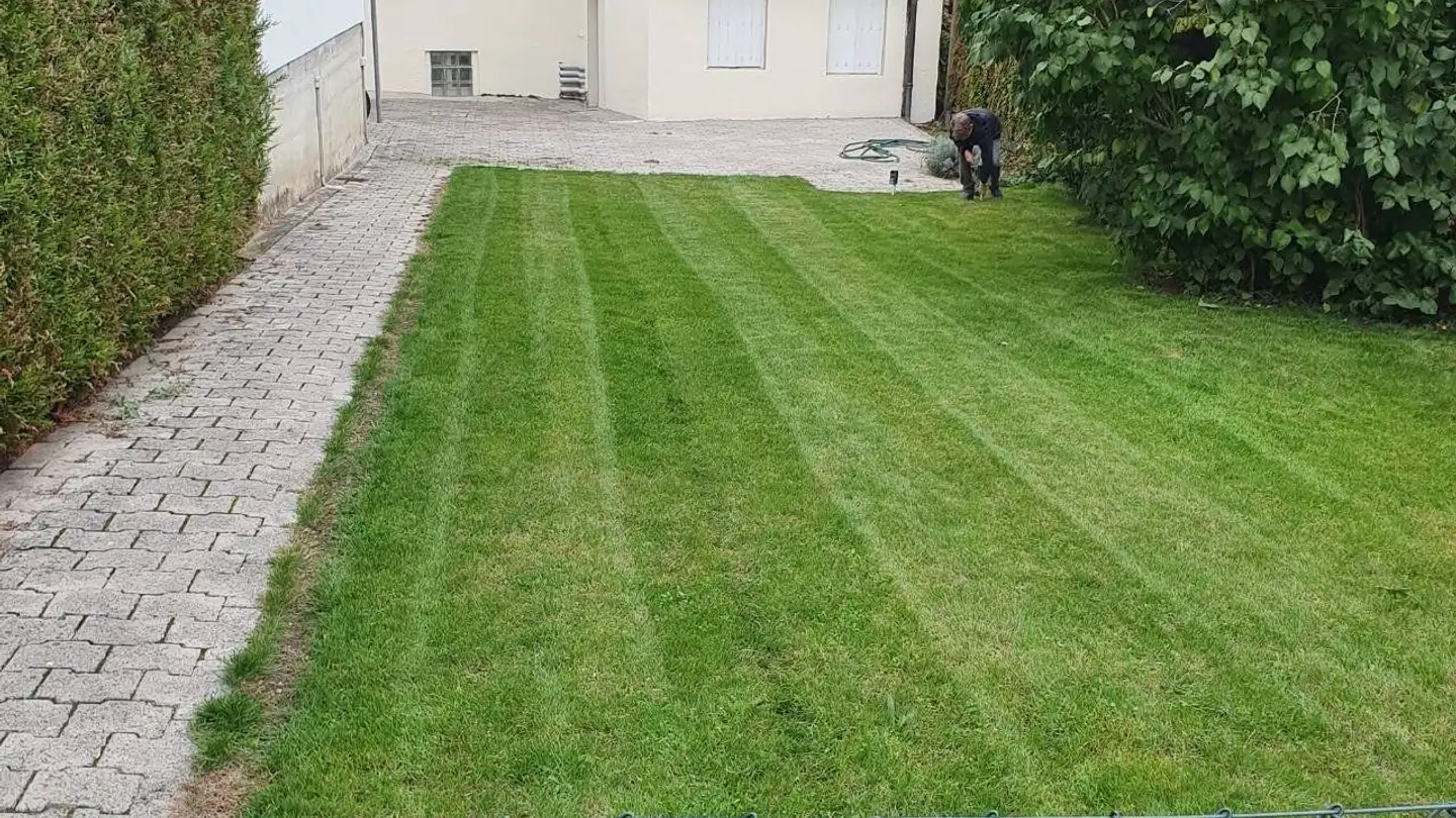 Mehrfamilienhaus kaufen - 1290 Versoix - Foto 2