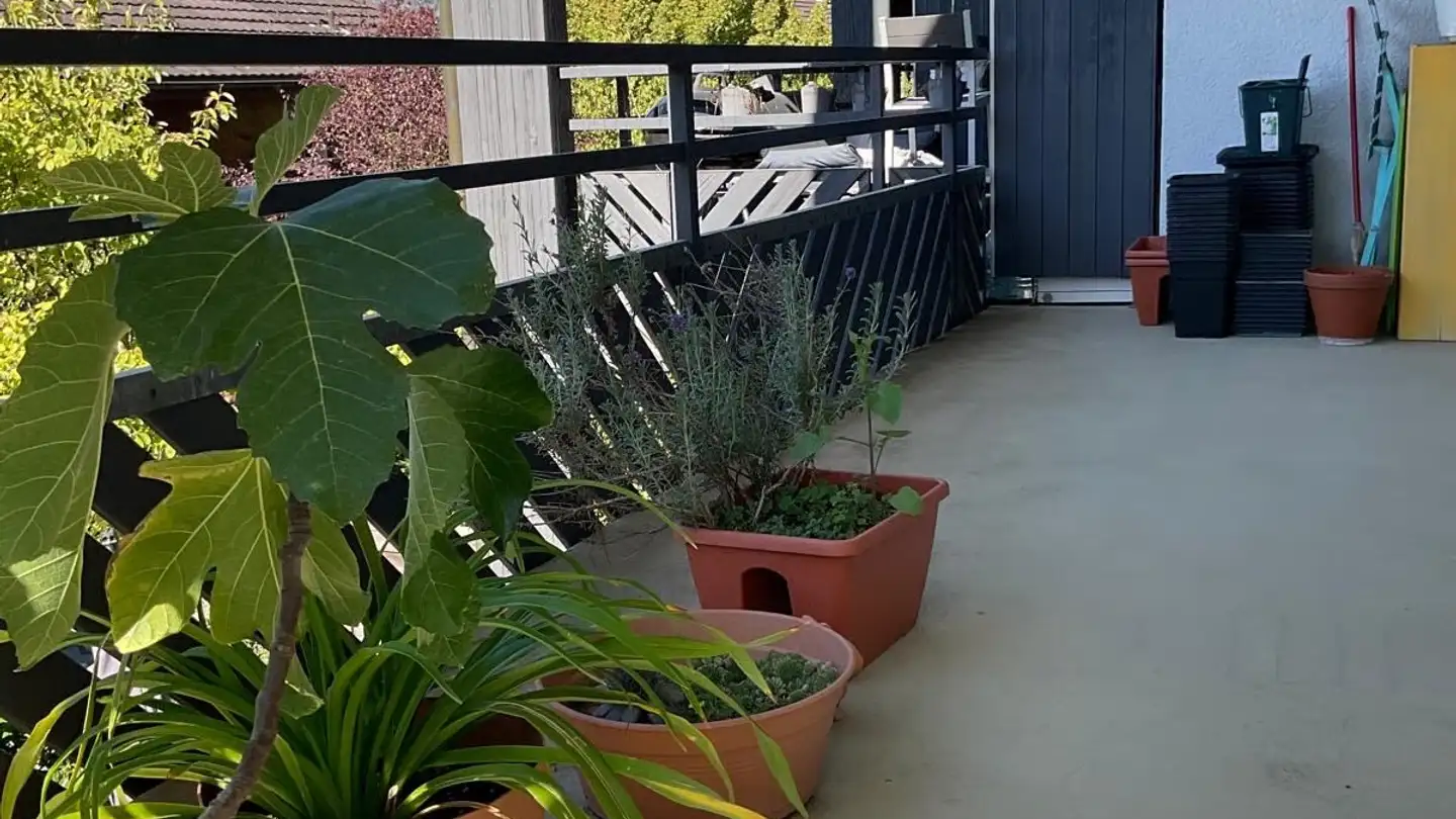 Wohnung mieten - Pfarrweg 4, 5116 Schinznach Bad - Foto 4
