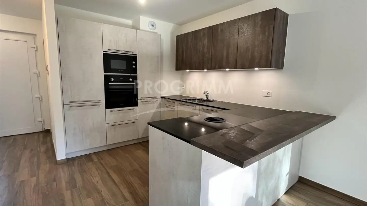 Maison individuelle à louer - 1255 Veyrier - Photo 3