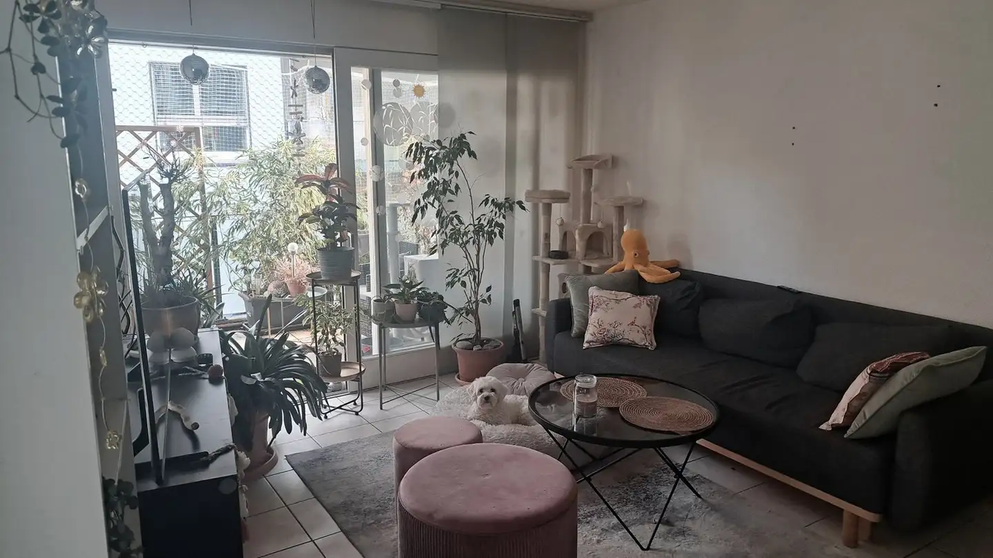 Wohnung mieten - Place De La Tannerie 1, 1400 Yverdon-les-Bains