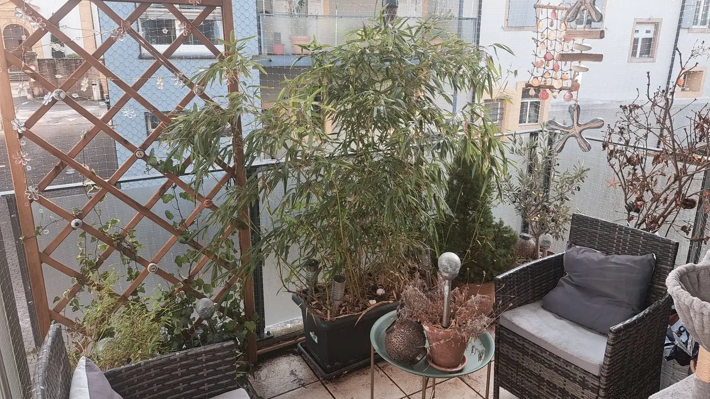 Wohnung mieten - Place De La Tannerie 1, 1400 Yverdon-les-Bains - Foto 3