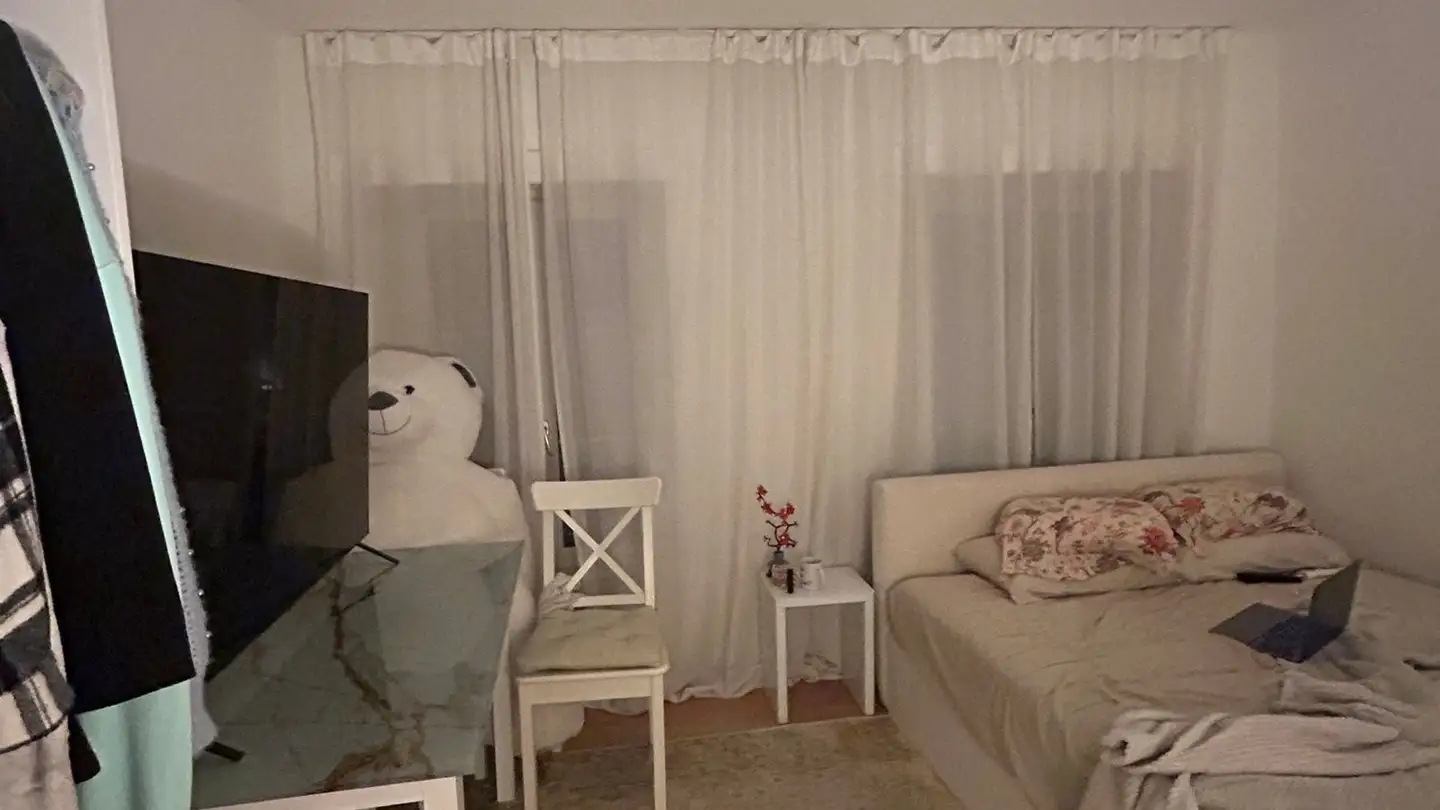 Appartamento in affitto - Rue De La Gare 23, 1260 Nyon - Foto 2