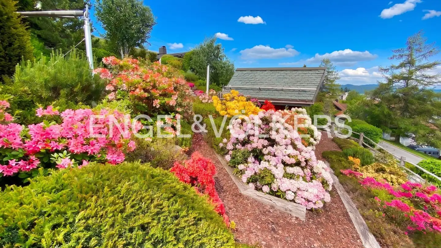 Terrain constructible à vendre - 8840 Trachslau - Photo 2